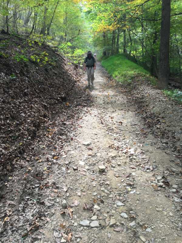 Marching Down Paw Paw Mountain with Bug Net On