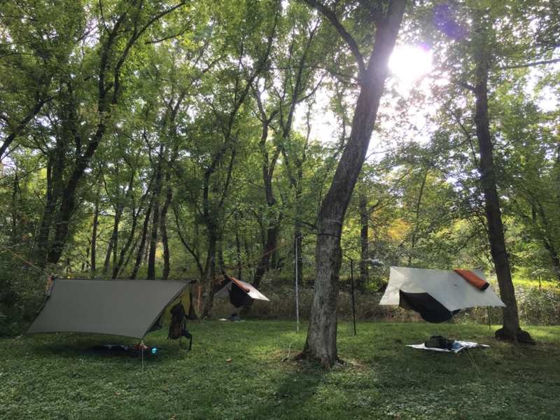 3 Hammocks in a Camp Site
