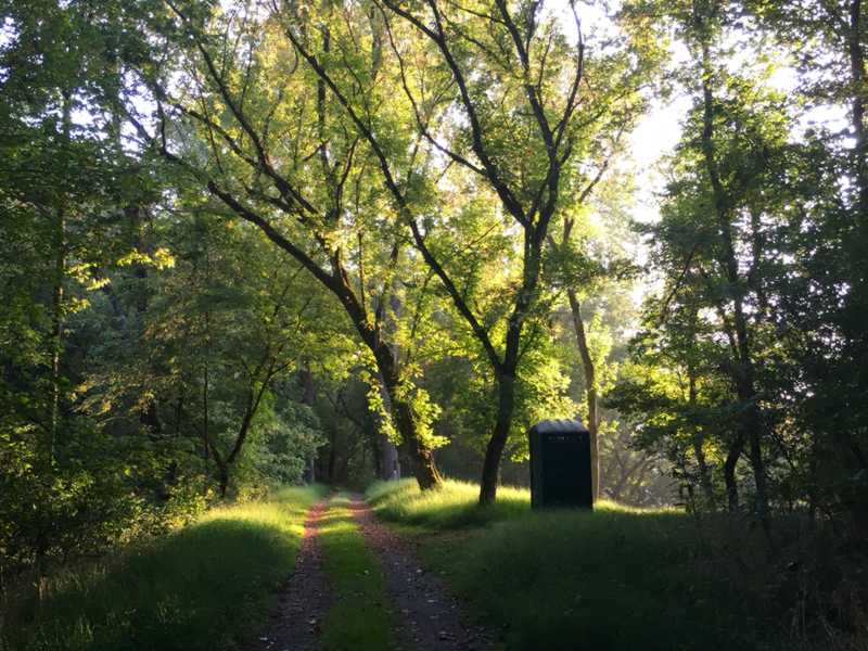 Setting Sun on a Porta-Potty on the Side of the Trail